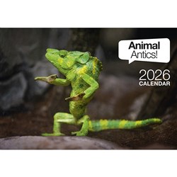Easy -2C Wall Calendar A4 Month To View Animal Antics