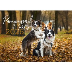 Easy -2C Wall Calendar 337 x 240mm Month To View Pampurred Pets